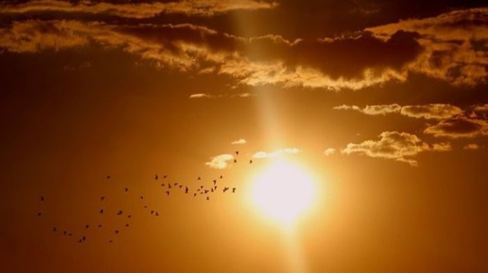 Prosječna globalna temperatura zraka u utorak je iznosila 17.18°C. Printscreen