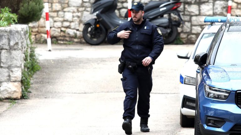 Policija: Sumnja na navijače. Pixsell / Dusko Jaramaz