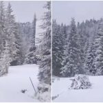 Sarajevo: Jahorina prekrivena snijegom pred kraj aprila (VIDEO)