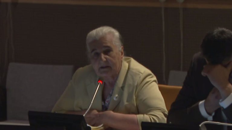 Munira Subašić. Screenshot