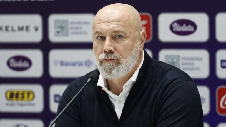 Sergej Barbarez. Fena