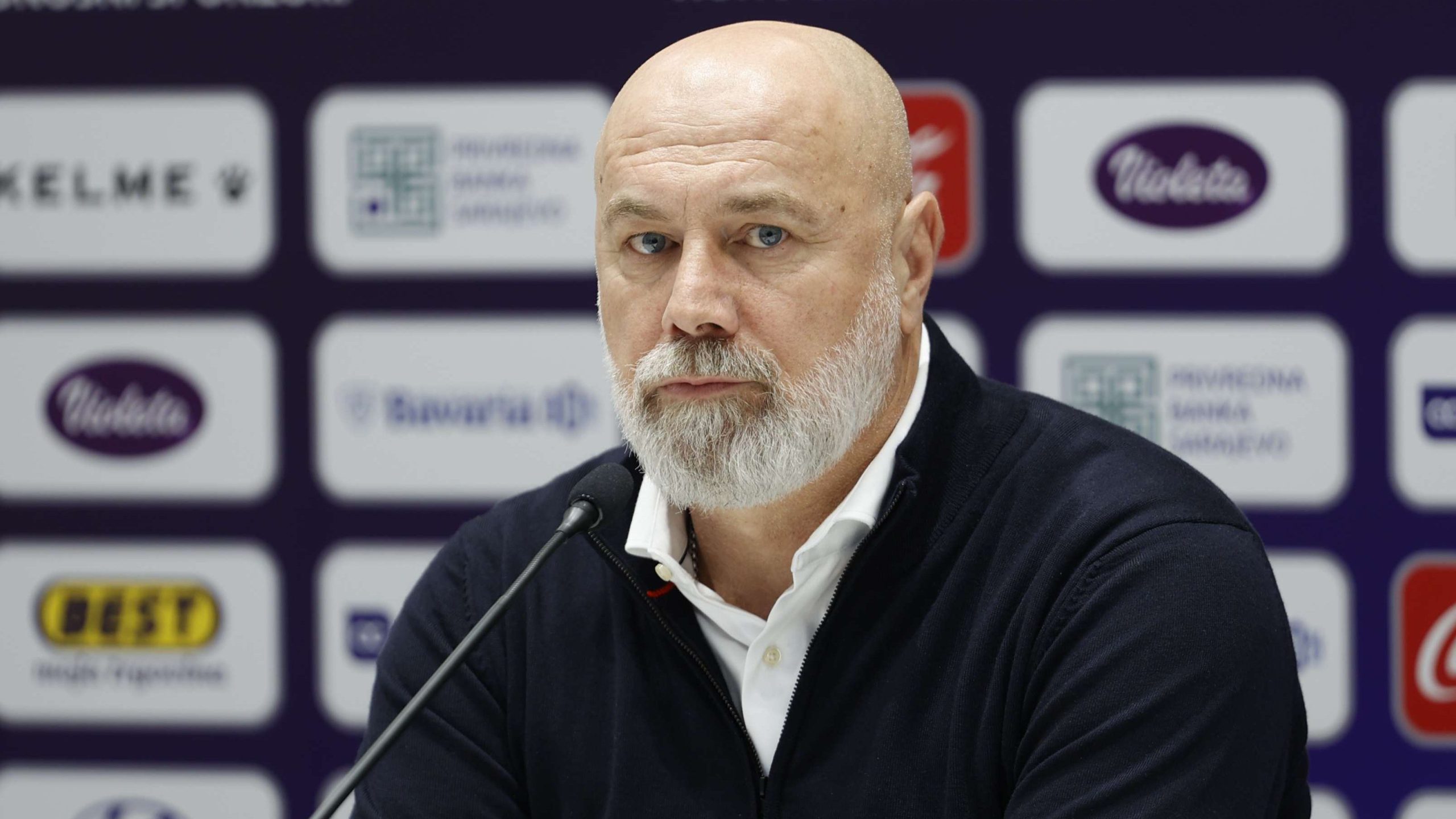 Sergej Barbarez. Fena