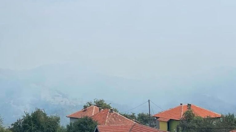 Veliki požar u Željeznom Polju. Facebook