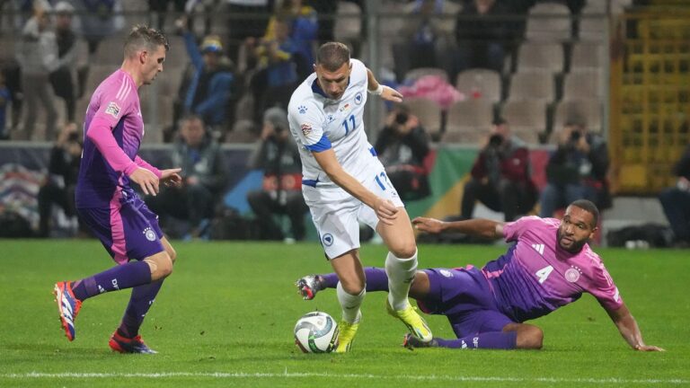 Edin Džeko. N/FS BiH