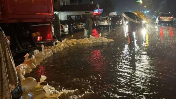 Poplave u Banjoj Luci. Srna