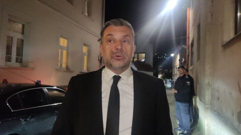 Konaković: Dobrodošla posjeta Lemija. S. Spahić / Avaz