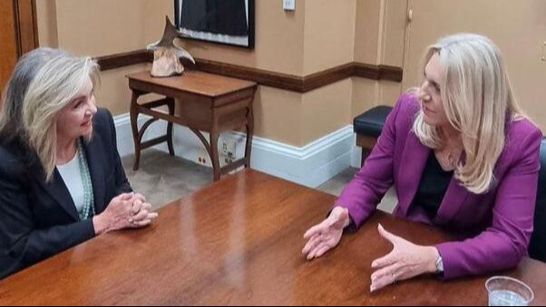 Cvijanović i Blackburn. Fena