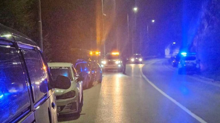 Policija i spasioci na terenu. Srna