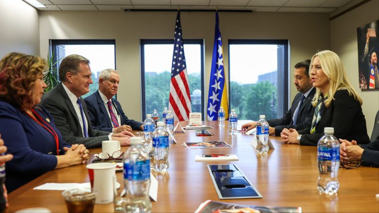 Cvijanović i Tarner. Predsjedništvo BiH