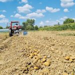 Proljetna sjetva u BiH počinje uskoro: Sadni materijal uglavnom dostupan, izazov klimatske promjene