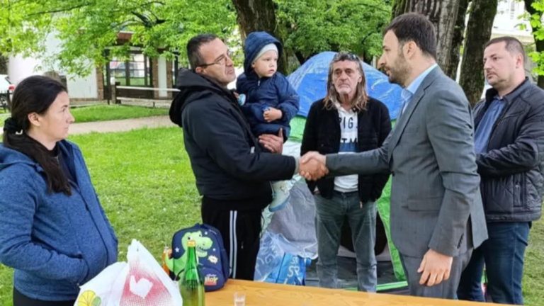 Porodica Branković. Avaz