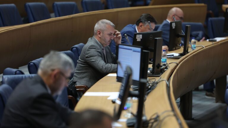 Predstavnički dom PSBiH. Fena