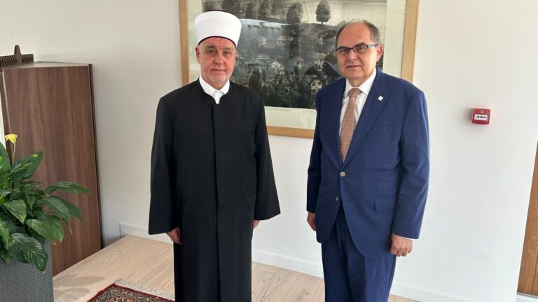 Kavazović i Šmit. Mreža X