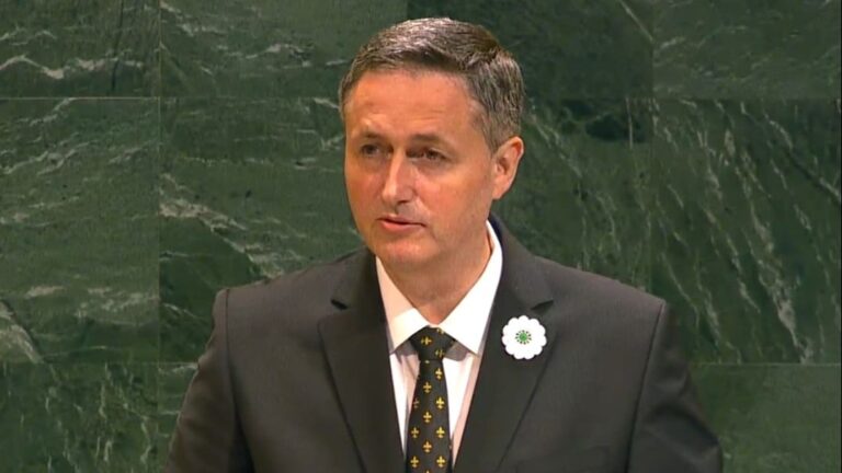 Denis Bećirović. UN
