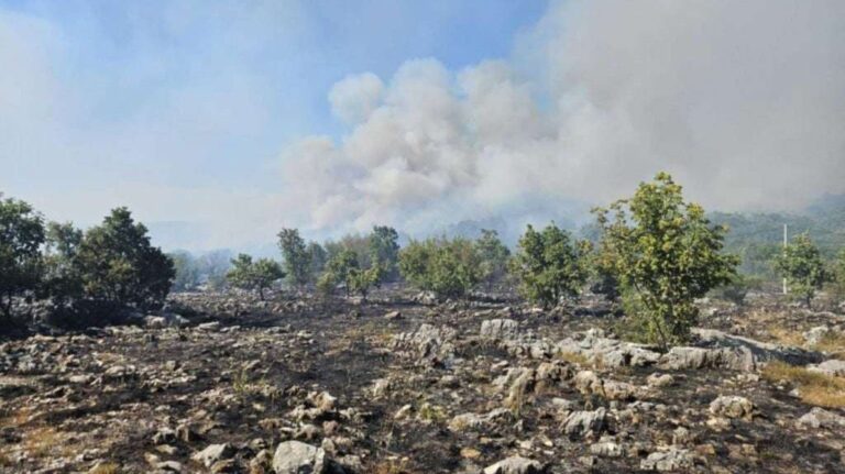 Vatrogasci su se borili s vatrom na teško pristupačnom i minski sumnjivom terenu. Hercegovina.info