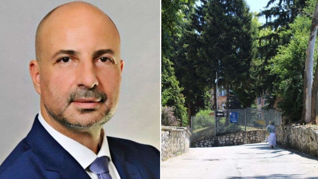 Džermin Pašić. Avaz