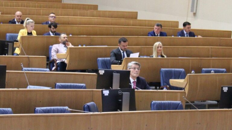 Predstavnički dom PS BiH. Avaz