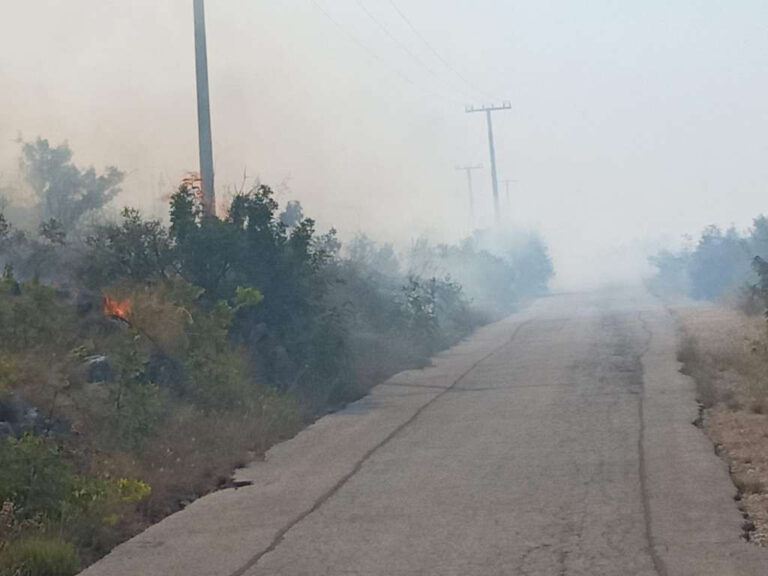 (Izvor: Fena/Neum online)