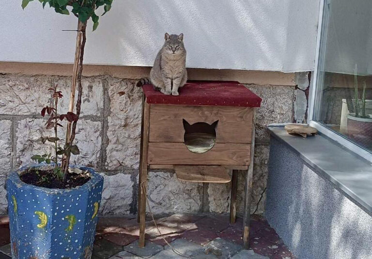 Facebook/OŠ "Šejh Muhamed ef. Hadžijamaković" Sarajevo