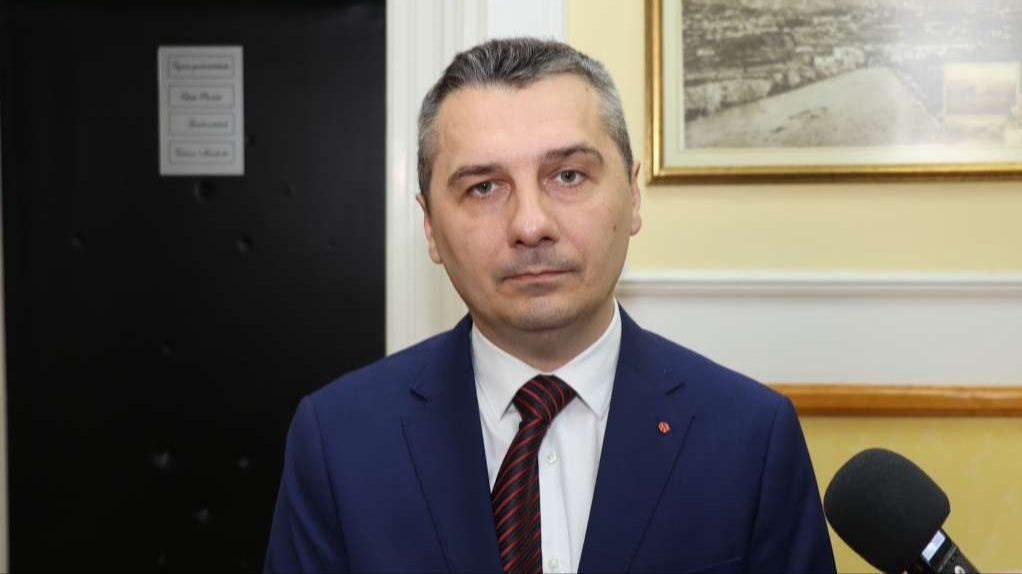 Nerin Dizdar. Fena
