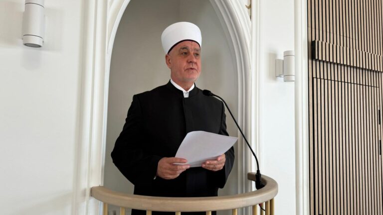 Reis Kavazović u Švedskoj. MINA