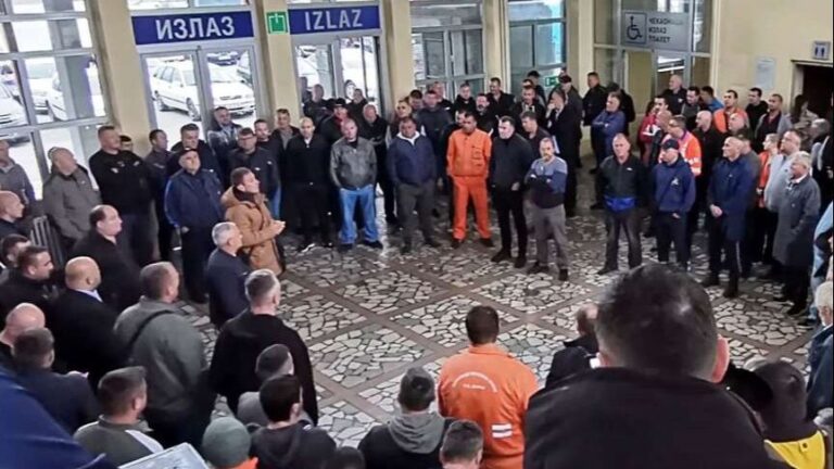 Okupljeni radnici. Srna