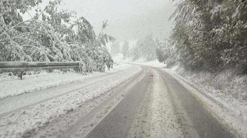 Trenutno stanje. Teretnjaci.ba