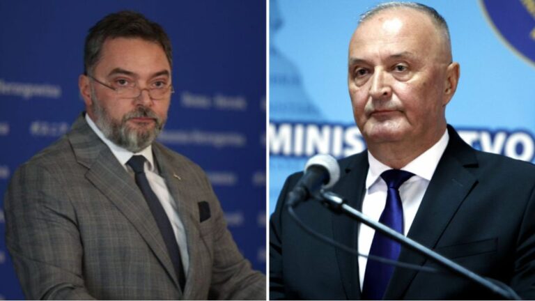 Košarac i Helez. FENA/Avaz