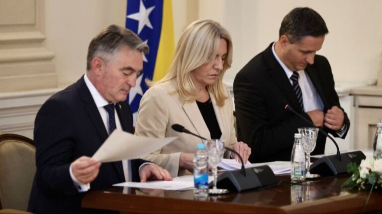 Predsjedništvo BiH. Fena