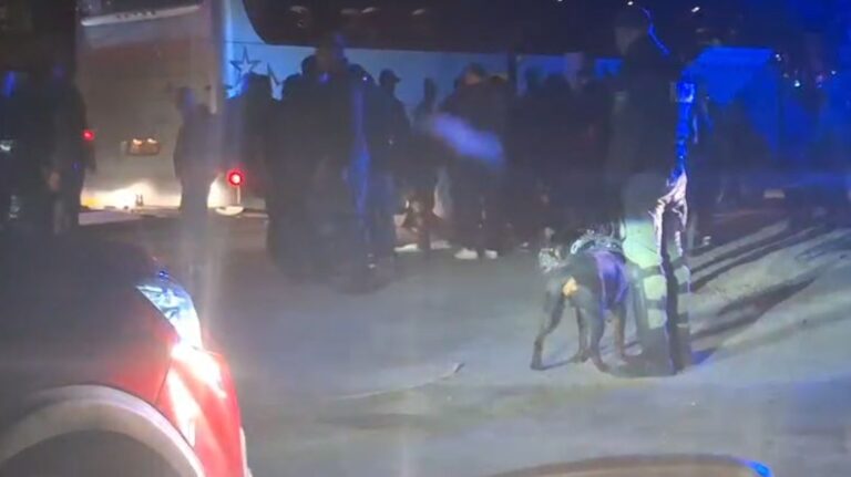 Rumunski huligani zaustavljeni pred Zenicom. Prosport.ru