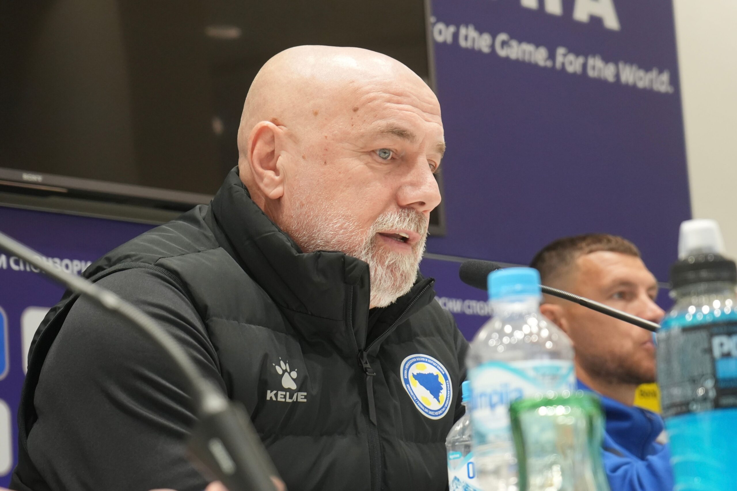 Sergej Barbarez. Avaz