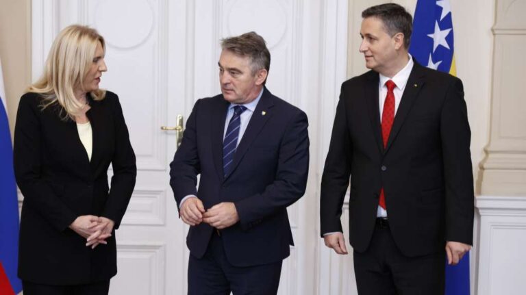 Predsjedništvo BiH. Fena