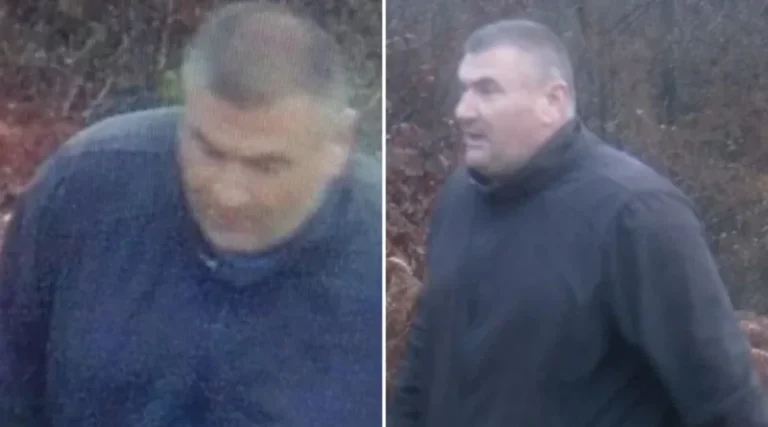 Velemir Gurdeljević. Facebook