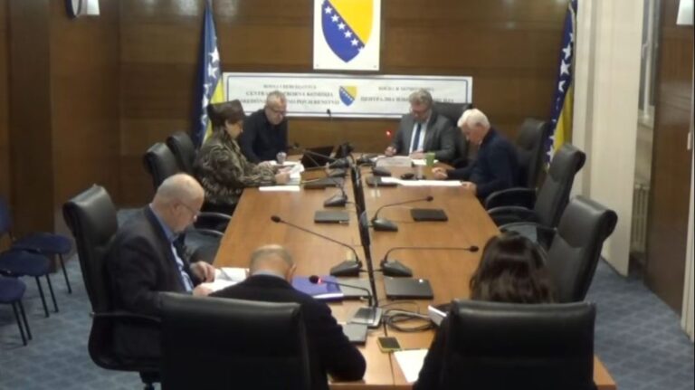 Sjednica CIK-a. Screenshot