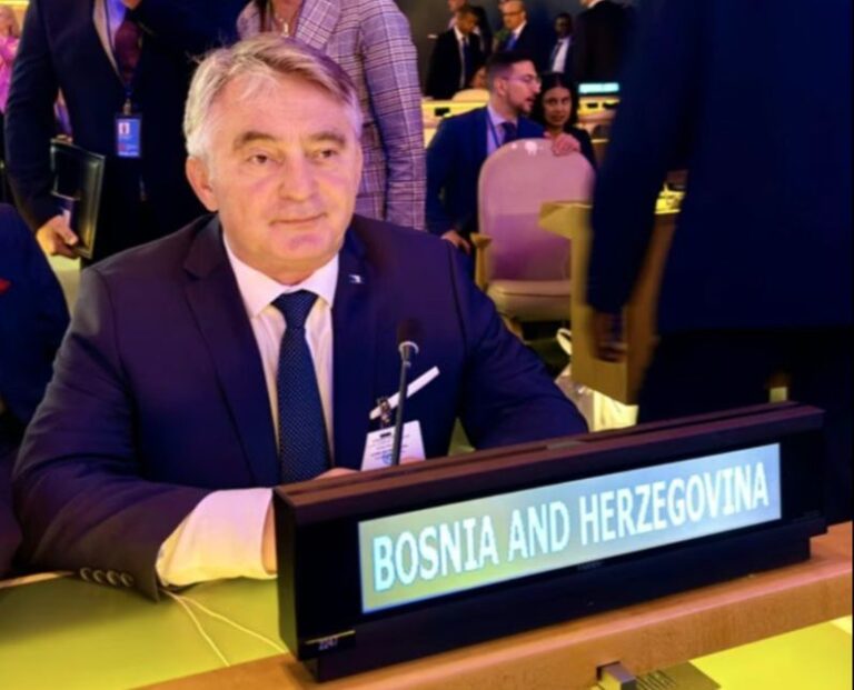Željko Komšić. Predsjedništvo BiH