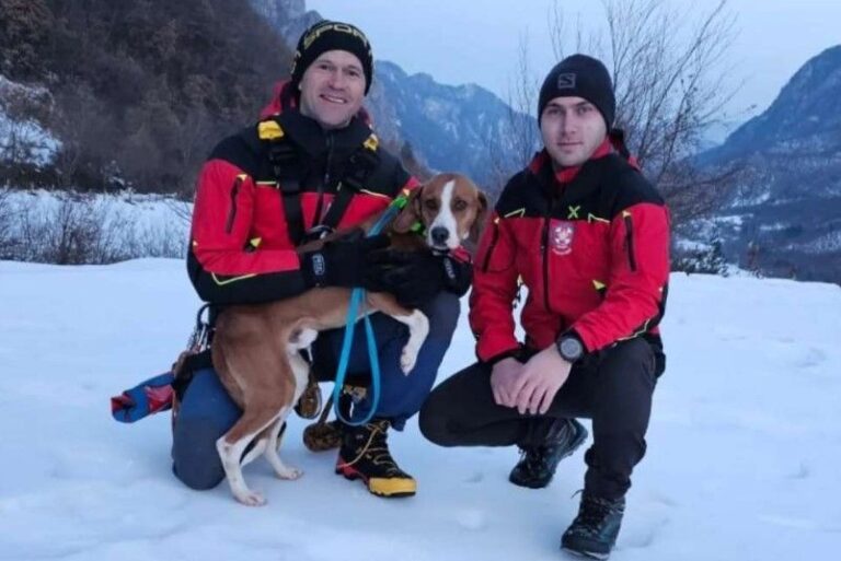 Pripadnici GSS-a Jablanica spasili lovačkog psa. Fena