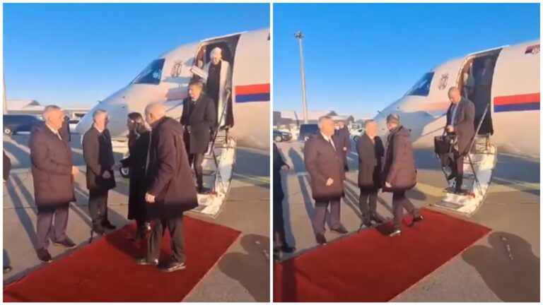 Delegacija Srbije. Platforma X