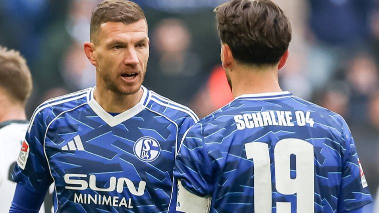Edin Džeko. Schalke 04