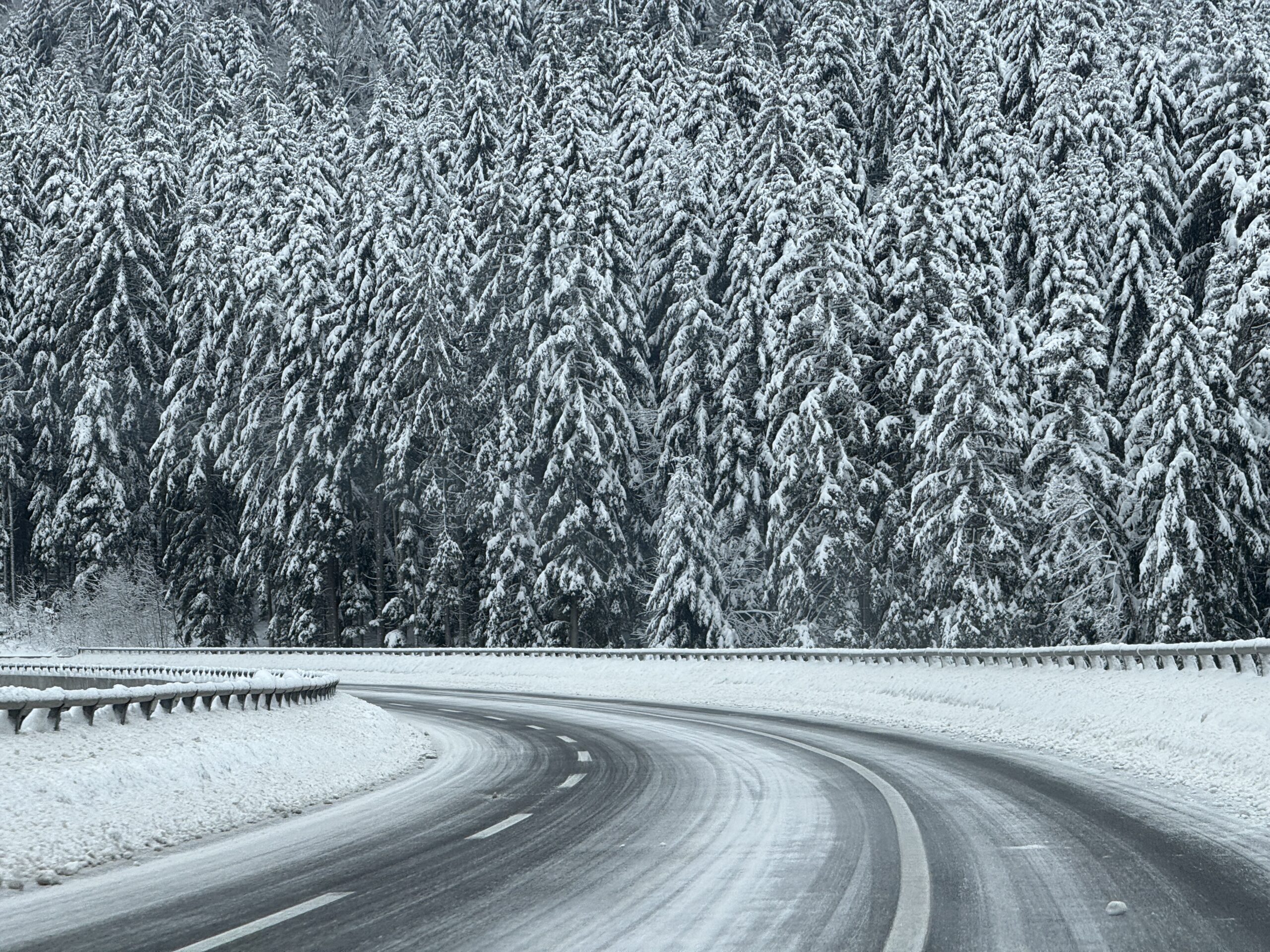 Stanje na putu/Foto: BH Reporter