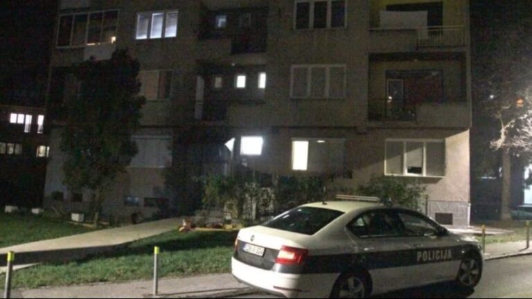 Policija na terenu. Screenshot