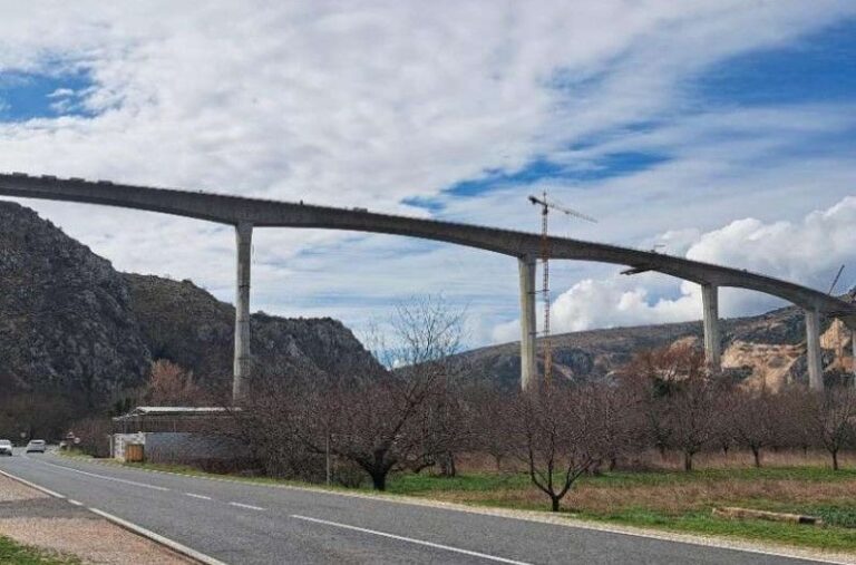 Realizacija projekta. Zorana Pavković