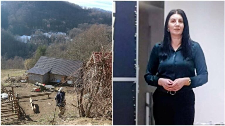 Efendić: Zaštititi prava povratnika. Facebook