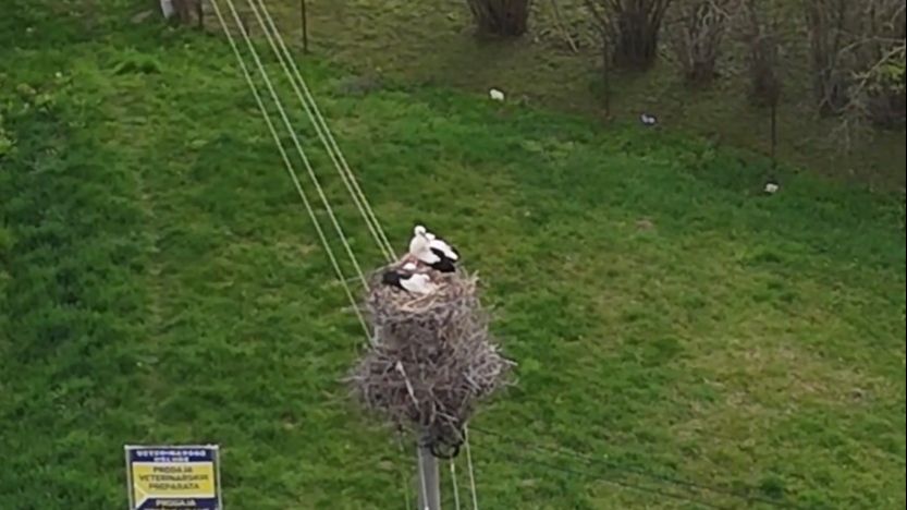 Vratile se rode u Bosansku Gradišku, to je dobar znak