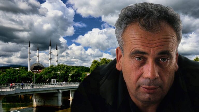 Mehmed Alagić. Normala.ba