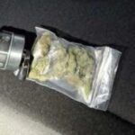 Zaplijenjena marihuana u Grudama: Mladi vozač uhvaćen s drogom, prijeti mu krivična prijava