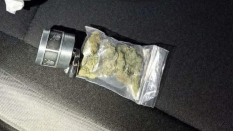 Zaplijenjena marihuana. MUP ZHK