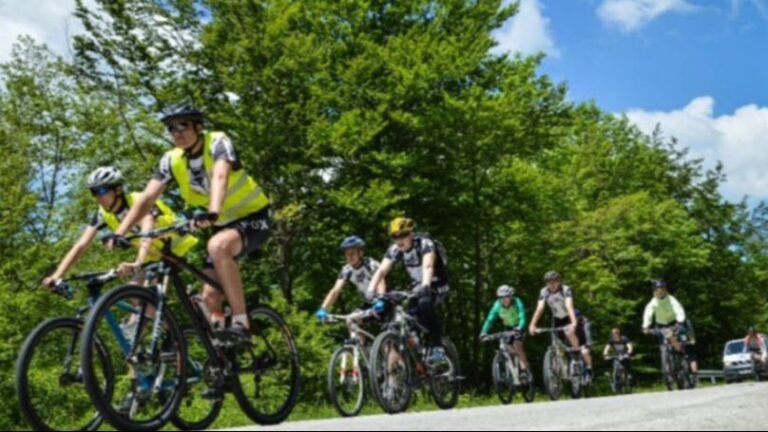 Obustava saobraćaja zbog trke. Fena