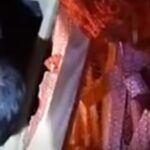 U kamionu sa drvima pronađeno 38 migranata