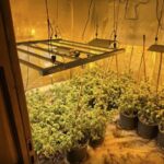 AKCIJA “ARIES”: Uhapšena 31-godišnjakinja, pronađeno pet laboratorija