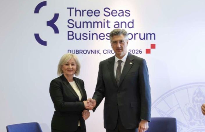 Plenković i Krišto. Platforma X